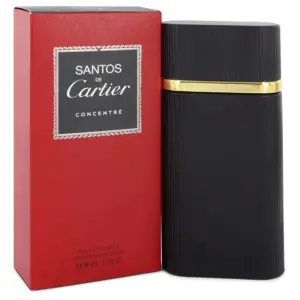 Cartier Santos Concentre